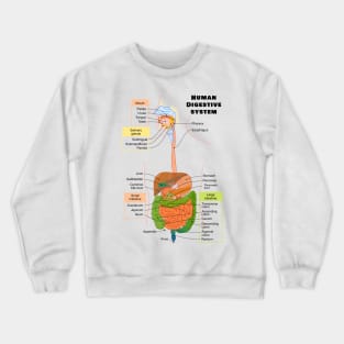 Diagram of the Human Digestive System Crewneck Sweatshirt